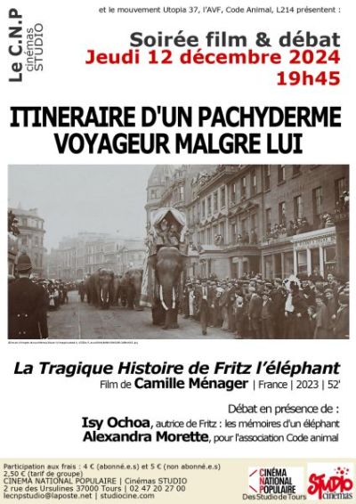 Itinéraire  d’un pachyderme voyageur malgré lui